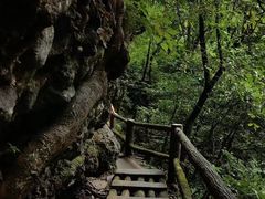 -青城山