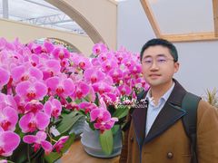 -荷兰花海
