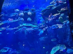 -蓬莱欧乐堡海洋极地世界
