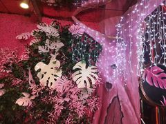 -亿·好声音·量贩KTV(朝阳北路店)