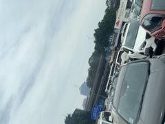 -悉尼鱼市场