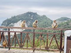 -重庆云阳龙缸景区