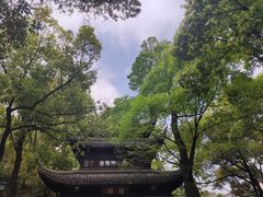 -西园戒幢律寺