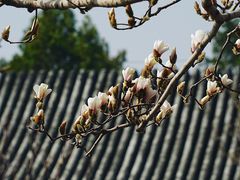 -颐和园