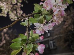 -睦南公园
