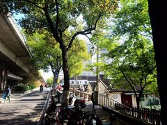 -沈记青团