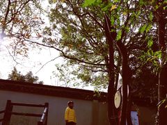 -上海佘山国家森林公园天马山园