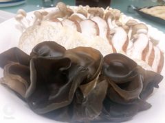 -龙福成肥牛火锅(文昌店)