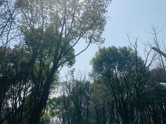 -昆山城市生态森林公园