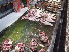 -五月罗马海鲜烤肉自助餐厅(印象城店)