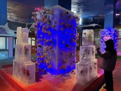 -雪山彩虹谷景区