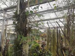 -石家庄市植物园
