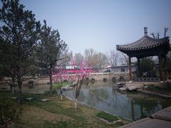 -春风习习