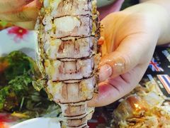 -鸡饭店