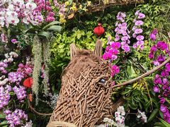 -北京植物园-展览温室