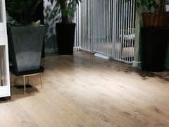 -东方名猫馆·英短金渐层布偶猫舍(环线广场1号楼店)