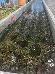 -钓虾工场·钓虾·赶海(回龙观店)