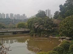 -龙头寺公园