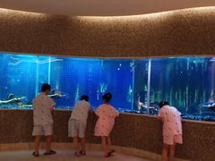 -碧涛阁水世界酒店(万家丽路店)