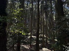 -上色见熊野座神社