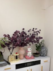 -WENDY·温迪皮肤管理