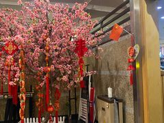 -银子铁板烧料理自助餐(人民广场店)