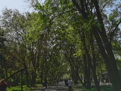 -北陵公园