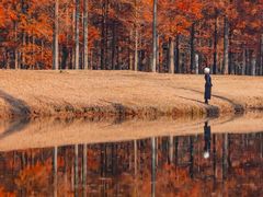 -黄海国家森林公园
