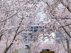 -龙美术馆(西岸馆)