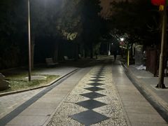 -团结湖公园