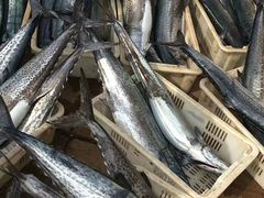 -三乐海鲜水饺馆