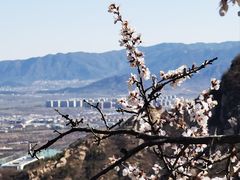 -北京凤凰岭