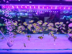 -三旗百汇商品城