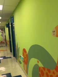 -杭州贝瑞斯美华妇儿医院·早孕·产检·儿科