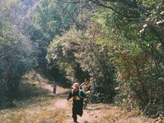 -杭州半山国家森林公园