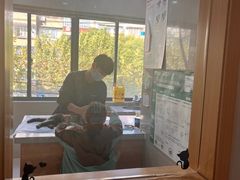 -爱侣宠医·鹦鹉专科·小型哺乳类·异宠专科(灵石路店)