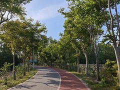 -上海长兴岛郊野公园