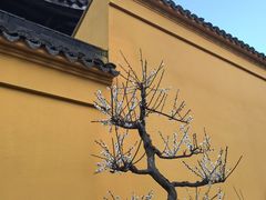 -无锡梅园公园