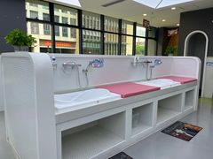 -沥鲨亲子游泳俱乐部(金沙洲中心)