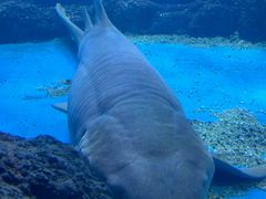 -常州海昌海洋探索馆