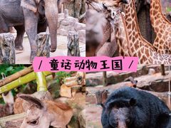 -长鹿旅游休博园