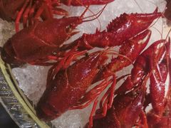 -京悦南门涮羊肉·羊蝎子火锅(田林路店)