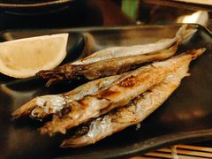 -科尔海悦酒店樱之河日本料理(清河东路店)