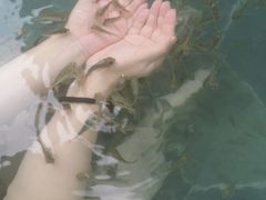 -苏州湾王焰温泉度假酒店