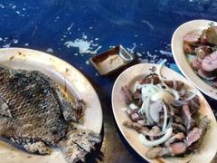 -阿里山邹族烤肉团队(山猪亮)