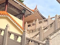 -深圳仙湖植物园