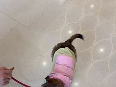 -南京商厦