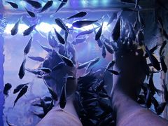 -汤连得温泉馆(宝山店)