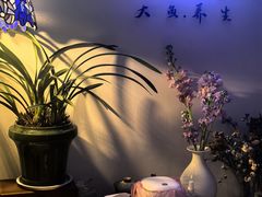 -大鱼·养生·禅洗头疗·按摩SPA