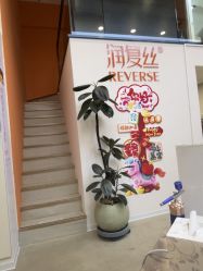-润复丝·泽发防脱头皮管理